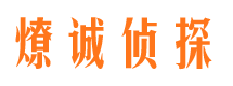 平房侦探